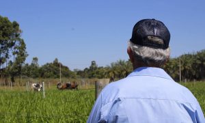 Regularização de imóveis rurais em Palmas: Por que um advogado especialista em agronegócio faz a diferença