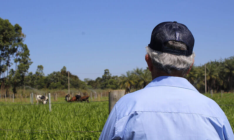 Regularização de imóveis rurais em Palmas: Por que um advogado especialista em agronegócio faz a diferença