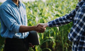 Importância da assessoria jurídica na proteção e expansão do agronegócio