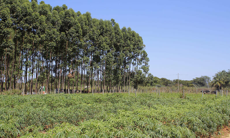 Pressão sobre o agro cresce e novas regras ambientais ampliam riscos para produtores em 2026