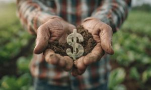 Agronegócio brasileiro amplia acesso ao mercado de capitais internacional